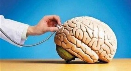 缺少脂肪人会变傻?