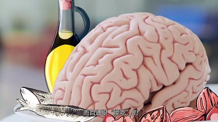 缺少脂肪人会变傻?
