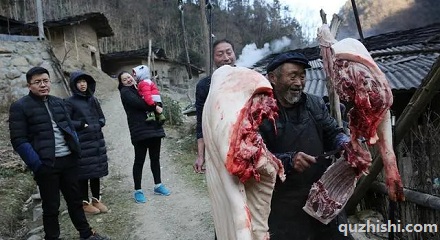 自家杀年猪并出售给他人违法吗?