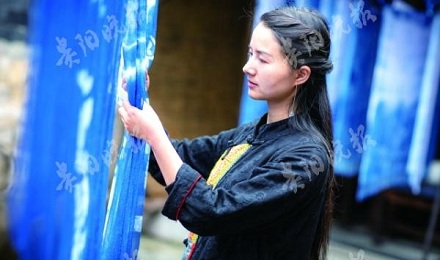 「青出于蓝而胜于蓝」的「蓝」是什么植物?