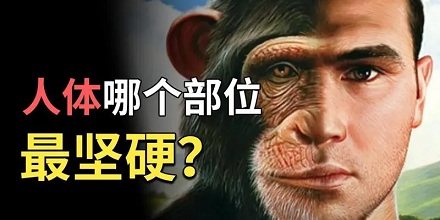 人体最硬的部位的哪一个?