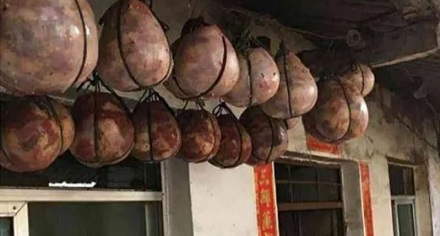 装屎的大肠有人吃,装尿的膀胱能吃吗?