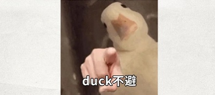 为什么下雨时,鸭子就在雨中傻站着一动不动?