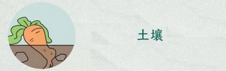 为什么萝卜是所有蔬菜里成精最多的?