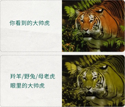 为什么人类没有绿色的毛发?