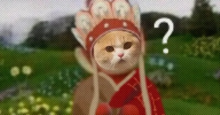 「毛病」的「毛」最初指的是什么毛?