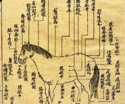 「毛病」的「毛」最初指的是什么毛?