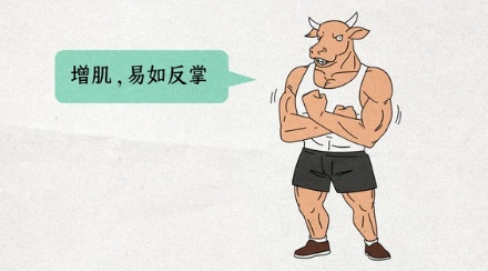 牛只吃草,不吃蛋白质和脂肪,为啥还能一身腱子肉?
