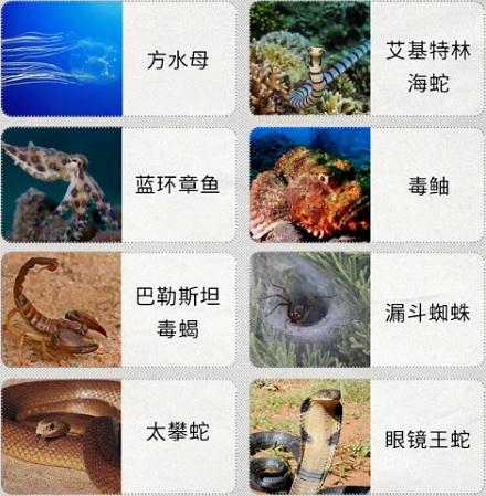 人类为什么不能像毒蛇一样进化出毒性?