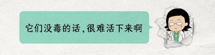 人类为什么不能像毒蛇一样进化出毒性?