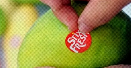 撕不掉又吃不了,水果上的贴纸到底于啥用的?