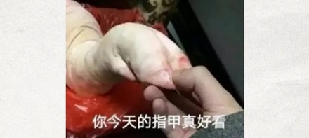 为啥不能在水泥地上养猪?