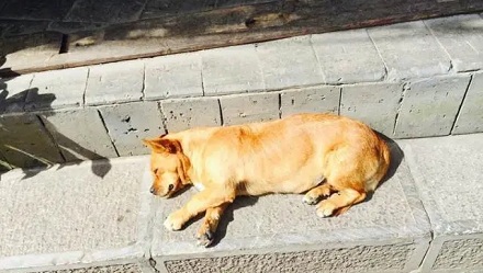 不晒太阳会影响身材?