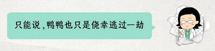 为啥鸭子在台风里一动不动,却根本不会被吹飞?