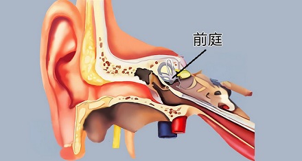 为啥《黑神话:悟空》越玩越想吐?