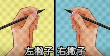 为啥大部分人生下来就习惯用右手?