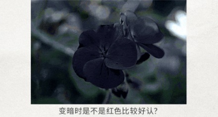电影院的座椅,为什么普遍是红色的?