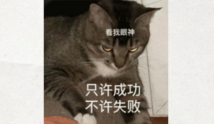 货车「拉鸡蛋」,为什么是最难的活?