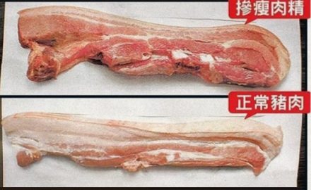 猪吃瘦肉精可以由肥变瘦,那人可以吃瘦肉精减肥吗?
