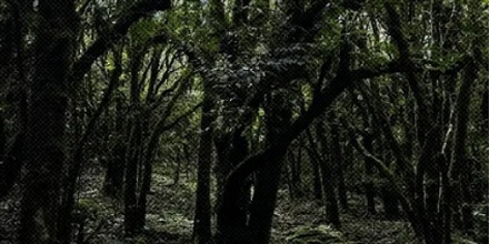 哀牢山进去必死?一座山为啥这么可怕?