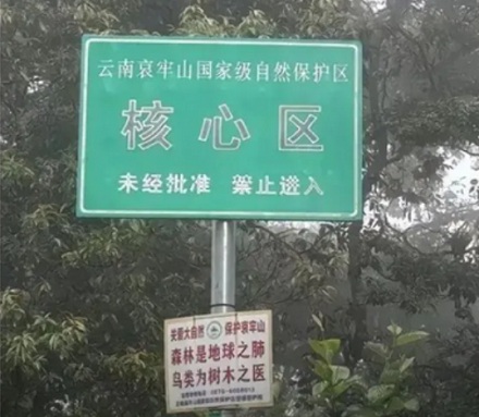 哀牢山进去必死?一座山为啥这么可怕?