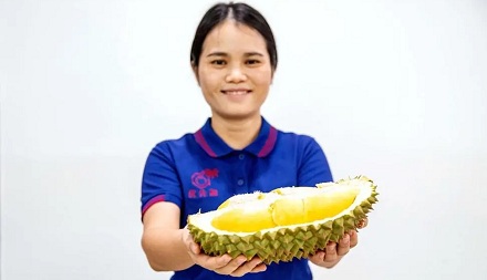 在泰国采摘和出售没成熟的榴莲违法?