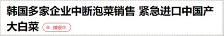 韩国为啥要紧急进口中国大白菜?