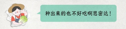 韩国为啥要紧急进口中国大白菜?