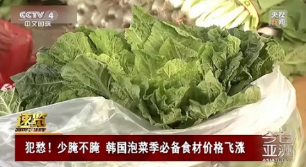 韩国为啥要紧急进口中国大白菜?