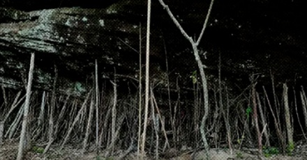 为什么景区的大石头下,都立着好多小木棍?(图)