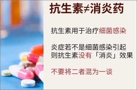 抗生素和消炎药是同一种药物吗?