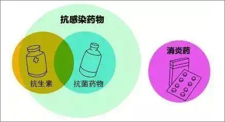 抗生素和消炎药是同一种药物吗?