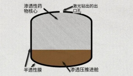 为什么有些药,掰开来吃反而会死?