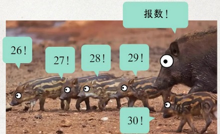 为什么今年「野猪」这么泛滥?