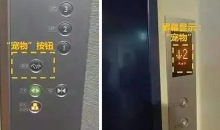 电梯上的小狗按键到底是什么意思?
