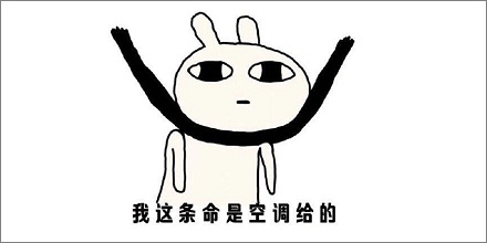 命的量词为什么是条?