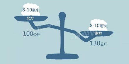 为什么南方的雪比北方的雪重?