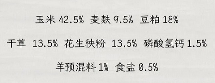 偷吃玉米的羊,为啥会中毒?