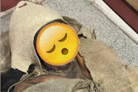 从古墓里控出来的遗体都去哪儿了?