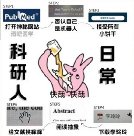 为什么文献里总会出现一个叫李玲玲的人?
