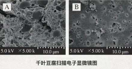 千页豆腐煮完为什么变大十几倍?