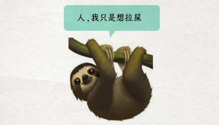 为什么世界上一半的树懒,都死于上厕所?