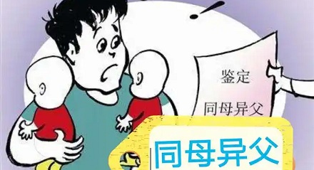 双胞胎也可能是同母异父?