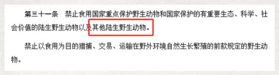 野猪不是保护动物,为啥也不能吃?