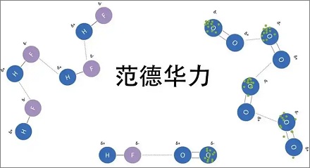 壁虎为什么能在玻璃墙上来去自如?