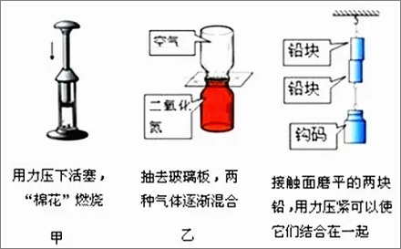 壁虎为什么能在玻璃墙上来去自如?