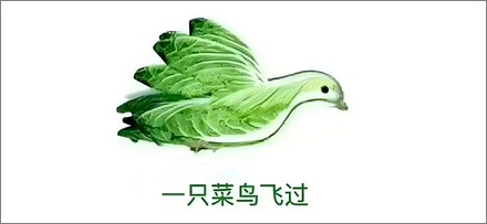 「菜」是怎么发展出「弱」的意思的?