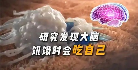 为什么跑马拉松后大脑反应慢？