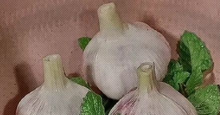 为什么考古队会用大蒜和薄荷来修复文物?