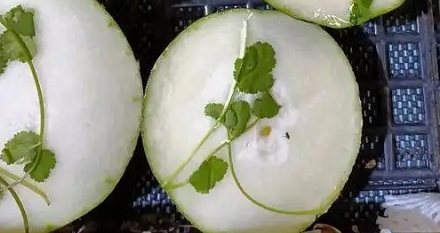 超市卖的切片冬瓜上,为什么总是放一根香菜?